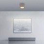 Downlight - PN 6931-97 PURE Manhattan, LED stropní svítidlo bronz, 2200-5000K - PAUL NEUHAUS - foto 2