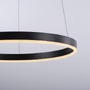 Kruhová - LD 15393-13 RITUS LED závěsné svítidlo antracit, kruhové pr.40cm, stmívatelné, Switchmo, teplá bílá krokově stmívatelné 3000K - LEUCHTEN DIREKT / JUST LIGHT - foto 2