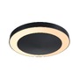 Přisazená - P 94525 LED stropní svítidlo Smart Home Zigbee Circula soumrakový senzor IP44 320mm CCT 14W antracit - PAULMANN - foto 2