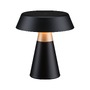 Stolní lampy dekorační - P 77060 Nabíjecí bateriové svítidlo Lirox IP44 CCT černá/šampaň - PAULMANN - foto 2