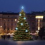 SADY na stromy - DLED TRS2021A LED světelná sada na stromy vysoké 6-8m, teplá bílá s ledově bílými dekory EFD01 - foto 2