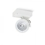 Bodová - RED R12323 KELLY I nástěnná bílá 230V/12V G53 50W - RED - DESIGN RENDL - foto 2