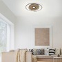 Downlight - PN 8381-78 Q-AMIRA LED stropní svítidlo v dekoru dřeva a oceli s nastavitelnou barvou světla stmívatelné Smart Home ZigBee 2700-5000K - PAUL NEUHAUS - foto 2