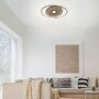 Downlight - PN 8381-78 Q-AMIRA LED stropní svítidlo v dekoru dřeva a oceli s nastavitelnou barvou světla stmívatelné Smart Home ZigBee 2700-5000K - PAUL NEUHAUS - foto 2