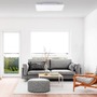 LED panely - PN 8487-16 FRAMELESS LED stropní svítidlo, panel, bílé, 60x30cm RGB+3000K - PAUL NEUHAUS - foto 2