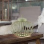 Na stůl - LD 19304-43 AKUBA LED stolní lampa průměr 36cm zelená na baterie USB IP44 stmívatelné dotykem 2700K - JUST LIGHT - foto 2