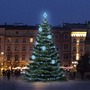 SADY na stromy - DLED TRS2021 LED světelná sada na stromy vysoké 6-8m, ledová bílá s dekory EFD01 - foto 2