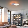 Kruhová - LD 11662-16 ARENDA LED stropní svítidlo, bílé, stmívatelné, dálkový ovladač, paměť, kruhové 2700-5000K - LEUCHTEN DIREKT / JUST LIGHT - foto 2