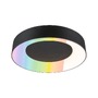 Kruhová - P 75416 LED stropní svítidlo Smart Home Zigbee 3.0 Casca IP44 RGBW+ 230V 20W černá mat - PAULMANN - foto 2
