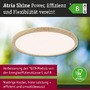 Kruhová - P 71277 LED Panel Atria Shine IP44 kruhové 298mm 14,8W 3000 - 6500K design dřevo - PAULMANN - foto 2
