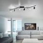 Bodová - PN 6358-18 PURE-MIRA LED stropní svítidlo stmívatelné CCT paměť 2700-5000K černá perleť - PAUL NEUHAUS - foto 2