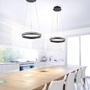 Kruhová - PN 8410-13 Q-VITO, LED závěsné svítidlo, Smart Home, průměr 40cm ZigBee 2700-5000K - PAUL NEUHAUS - foto 2
