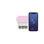 E27 - NOR 2270052701 Smart E27 Color 2200-6500+RGB 806lm - NORDLUX - foto 2