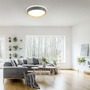 Kruhová - LD 14347-15 LED stropní svítidlo, kruhové, pr. 40 cm, stmívatelné, šedá, dekor dřeva, krokově stmívatelné, 3000K - JUST LIGHT - foto 2