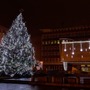 Venkovní řetězy - DLED SLN1110 LED světelný řetěz - 100m, ledově bílá, 1000 diod - foto 2