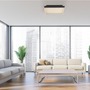 Hranatá - PN 6316-18 LED stropní svítidlo Q-MAGONG černá Smarthome stmívatelné s aplikací ZigBee 2700-5000K - PAUL NEUHAUS - foto 2