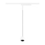 Svítidla - LA 1010455 LIGHT EYE® 2.0 1~ závěsné svítidlo, délka závěsu 200 cm, 3000 K, 30°, bílá / černá - BIG WHITE (SLV) - foto 2
