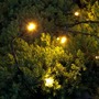 LED osvětlení na BATERIE - DLED BL15W DecoLED osvětlení na baterie - teple bílá, 5,2m - foto 2