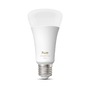 E27 - PH 8720169364288 Hue WA 1600 smart žárovka A67 E27, 15W, 1600lm, 1000-20000K - PHILIPS - foto 2