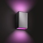 SmartHome Paul Neuhaus - PH 17464/47/P7 HUE Resonate SVÍTIDLO VENKOVNÍ NÁSTĚNNÉ LED RGBW 2x8W 1200lm 2000-6500K IP44, nerez - PHILIPS HUE (915005843001) - foto 2
