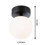 Kruhová - P 71071 Selection Bathroom LED stropní svítidlo Gove IP44 3000K 230V 5W černá mat/satén - PAULMANN - foto 2