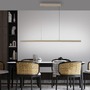Podélná - PN 2598-97 LED závěsné svítidlo ADRIANA, Comfort Lift, bronz, 2700-5000K - PAUL NEUHAUS - foto 2