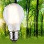 E27 - P 29223 Eco-Line Filament 230V LED žárovka E27 2,5W 3000K mat - PAULMANN - foto 2