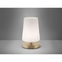 Stolní lampy dekorační - PN 4146-60 SONJA LED stolní lampa v matné mosazi s decentním podlouhlým stínítkem na lampu 3000K - PAUL NEUHAUS - foto 2