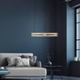 Kruhová - PN 2550-60 LED závěsné svítidlo PURE E-Loop matná mosaz elektrické 2700-5000K - PAUL NEUHAUS - foto 2