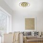 Downlight - PN 8381-18 Q-AMIRA LED stropní svítidlo v černé mosazi s nastavitelnou barvou světla a dálkovým ovládáním Smart Home ZigBee 2700-5000K - PAUL NEUHAUS - foto 2