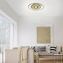 Downlight - PN 8381-18 Q-AMIRA LED stropní svítidlo v černé mosazi s nastavitelnou barvou světla a dálkovým ovládáním Smart Home ZigBee 2700-5000K - PAUL NEUHAUS - foto 2