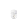 Bodová - LA 1010260 KALU 2.0 Přisazené nástěnné a stropní svítidlo, PHASE, 2700 K, 10 W, 36°, bílá - BIG WHITE (SLV) - foto 2