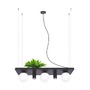 Dekorativní - ZUMA 003749-025970 5555 PLANT SHELF závěsné svítidlo černá - ZUMALINE - foto 2