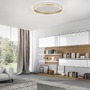 Kruhová - PN 8416-60 Paul Neuhaus, Q-VITO, LED stropní svítidlo, pr.59cm, Smart Home ZigBee 2700-5000K - PAUL NEUHAUS - foto 2