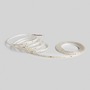 Hlavní osvětlení - FAN STRIP220V-2835-8M LED pásek SMD 220 V 8 W/m 960 lm/m 4000 K pf > 0.5 20 m - FANEUROPE - foto 2