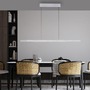 Podélná - PN 2598-95 LED závěsné svítidlo s Comfort Lift, hliník, nastavitelná výška, roztahovací, 2700-5000K - PAUL NEUHAUS - foto 2