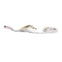 Dekorační - FAN STRIP24V-COB-SPI-RGB LED pásek COB DIGITALE 24 V 15W/m RGB 5 m - FANEUROPE - foto 2
