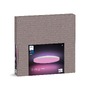 Kruhová - PH 8720169277557 Hue WACA Datura XL stropní svítidlo LED 67W 5390lm 2000-6500K RGB 57,4cm kulaté IP20, bílé - PHILIPS - foto 2