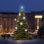 SADY na stromy - DLED TRS3023A LED světelná sada na stromy vysoké 9-11m, teplá bílá s ledově bílými dekory 8EFD08 - foto 2