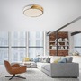Kruhová - LD 14288-16 BILA LED stropní svítidlo kruhové bílé dřevodekor nadčasový design 3000K - JUST LIGHT - foto 2
