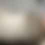 Dekorativní - EG 98877 Nástěnné svítidlo ERVIDEL 98877 - EGLO - foto 2