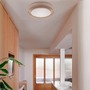 Kruhová - FARO 20092 TENDER Grey ceiling lamp 2700K - FARO - foto 2