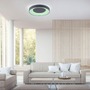 Kruhová - LD 14346-18 LOLAsmart - ANIKA LED stropní svítidlo šedé stmívatelné App + dálkový ovladač RGB+2700-5000K - LEUCHTEN DIREKT / JUST LIGHT - foto 2