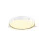 Kruhová - LA 1008923 DECONA 42 CL, PHASE, stropní světlo pro povrchovou montáž, kulaté, 3000/4000 K, 23 W, bílá / zlatá - BIG WHITE (SLV) - foto 2