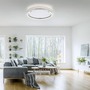 Kruhová - LD 15392-95 RITUS LED stropní svítidlo, hliník, kruhové, pr.60cm, stmívatelné, Switchmo, teplá bílá krokově stmívatelné 3000K - LEUCHTEN DIREKT / JUST LIGHT - foto 2