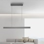 Podélná - PN 2570-15 LED závěsné svítidlo PURE-E-MOTION elektricky nastavitelná výška 2700-5000K platina - PAUL NEUHAUS - foto 2
