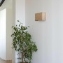 Dekorativní - FARO 66401-108 OTTON RCT nástěnné svítidlo horizontální 2x žárovka, juta - FARO - foto 2