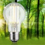 E27 - P 29219 Eco-Line Filament 230V LED žárovka E27 5W 3000K čirá - PAULMANN - foto 2