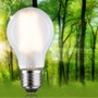 E27 - P 29224 Eco-Line Filament 230V LED žárovka E27 4W 3000K mat - PAULMANN - foto 2