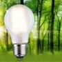 E27 - P 29226 Eco-Line Filament 230V LED žárovka E27 7,2W 3000K mat - PAULMANN - foto 2